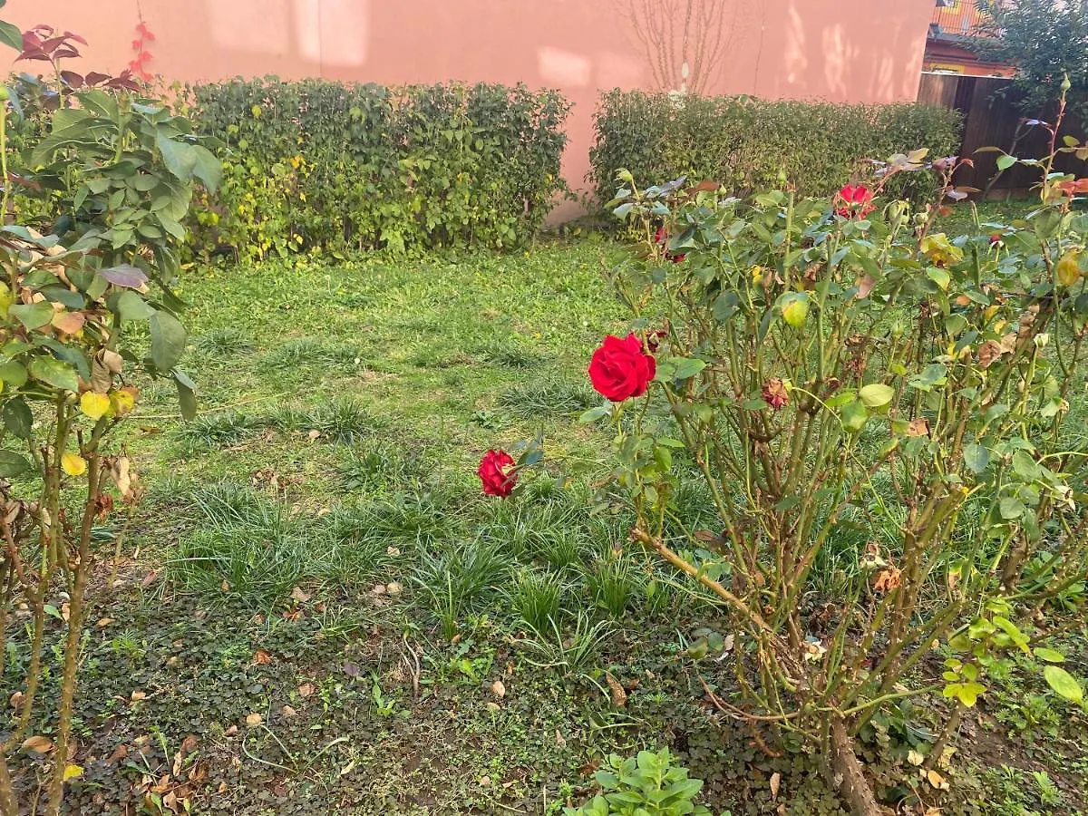 Homestay Oeguenc'S Apartment Szeged